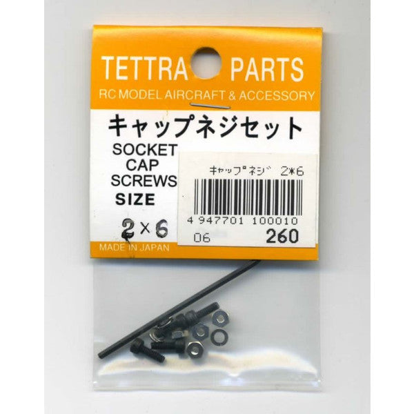 10001 キャップ ネジ 2× 6