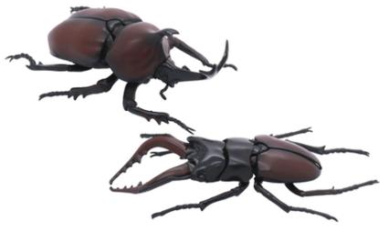 自由研究-25 いきもの編 クワガタムシVSカブトムシ 対決セット
