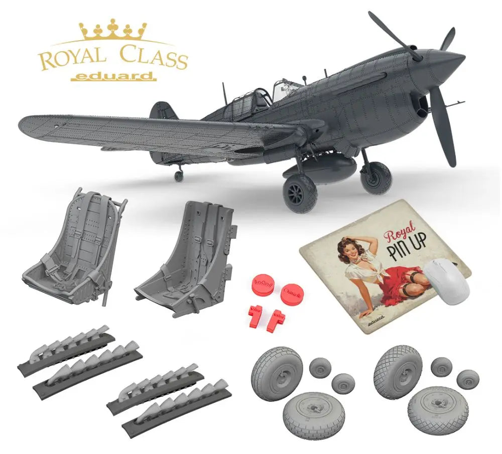 EDUR0024 エデュアルド 1/48 P-40K ウォーホーク ロイヤルクラス デュアルコンボ リミテッドエディション