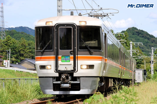 【列車紹介】373系 特急「伊那路」（JR東海 飯田線）
