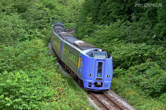 ＜JR北海道＞キハ261系0番台 特急「宗谷」（札幌～稚内）【MDR graph】