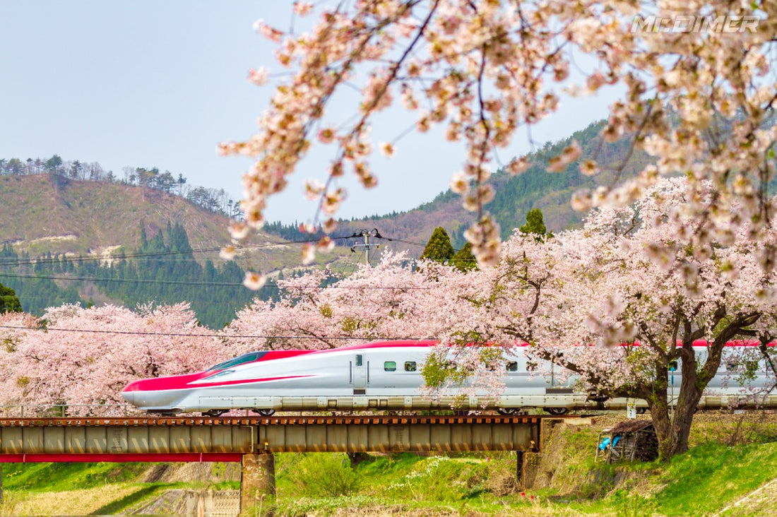 【MDR graph】＜ミニボディのすごいヤツ。桜と良い相性、E6系＞