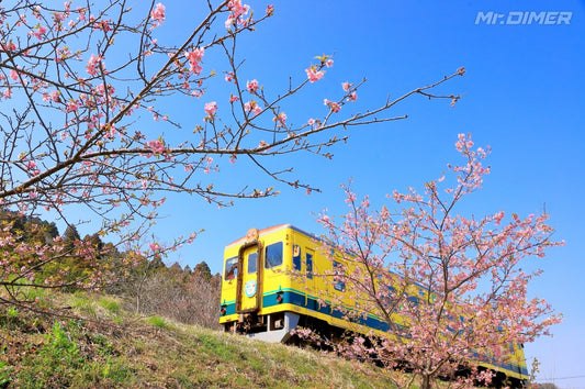 【MDR graph】＜1988年の今日、JR木原線はいすみ鉄道線へ②＞