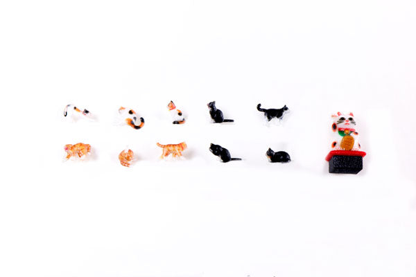 24-710 1/150 和猫