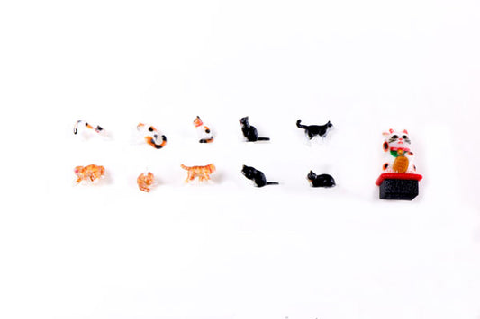 24-710 1/150 和猫