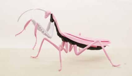 自由研究-232 自由研究シリーズNo232 エヴァンゲリオン編 オオカマキリ 8号機仕様