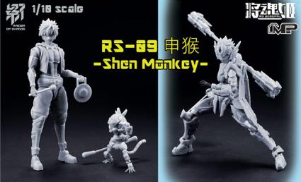 MS GENERAL(将魂姫RAIDER OF SHADOW【影】1/10 RS-09 申猴 Shen Monkey